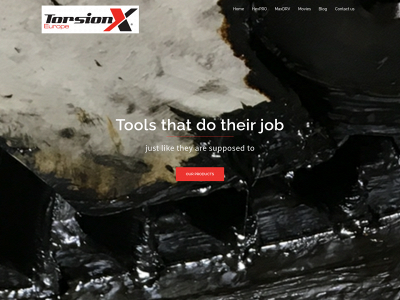 torsionx.pl snapshot