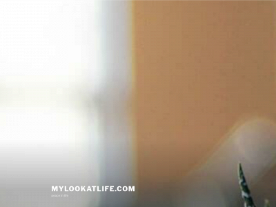 mylookatlife.com snapshot
