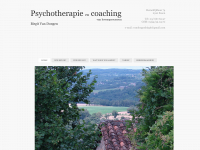 psychotherapeut-birgitvandongen.be snapshot