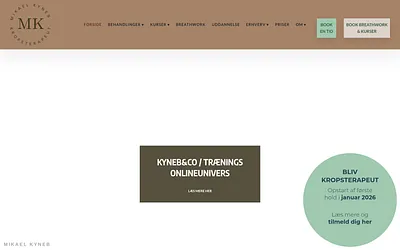 mikaelkyneb.com snapshot