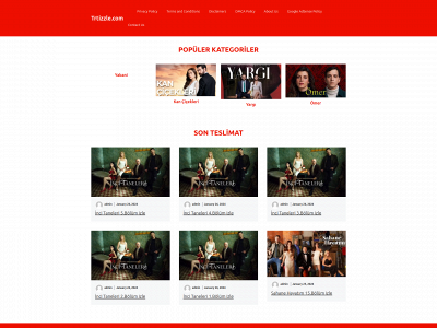 trtizzle.com snapshot
