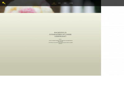 starmediafoto.de snapshot