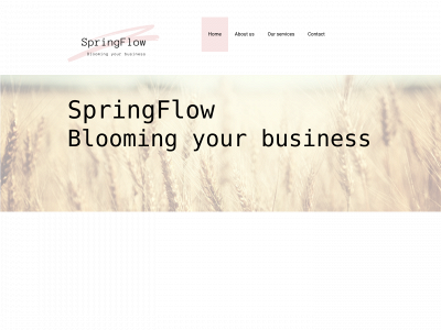 spring-flow.com snapshot