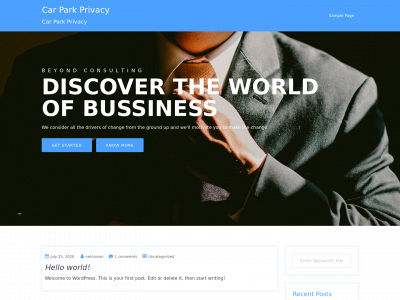 carparkprivacy.com snapshot