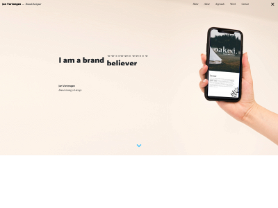 janvertongen.be snapshot