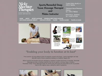 shechtertherapies.co.uk snapshot