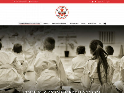 samuraimartialarts.co.uk snapshot