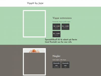 vippitjojie.no snapshot
