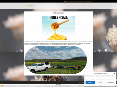 saafihonung.se snapshot
