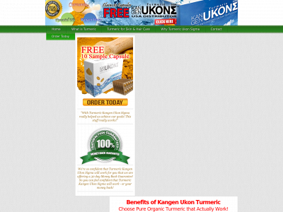 pureorganickangenturmeric.com snapshot