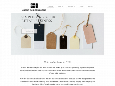 angelatangconsulting.com snapshot