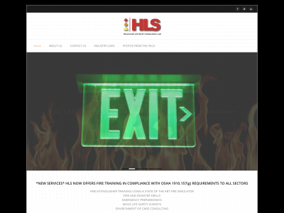 hlsconsultantsllc.com snapshot