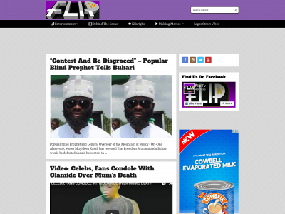 fliptvng.com snapshot