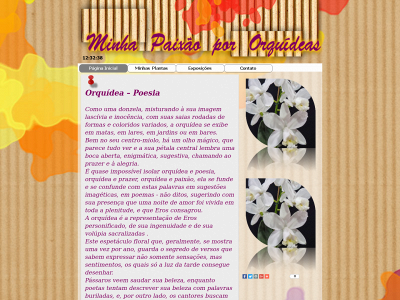 minhapaixaopororquideas.com snapshot