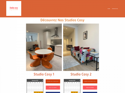 studioscosy.be snapshot
