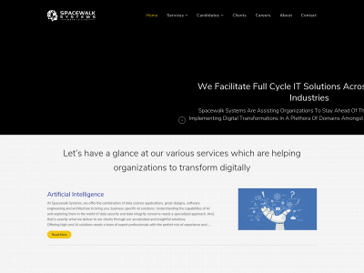 spacewalksystems.com snapshot