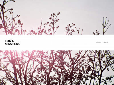 www.lunamasters.com snapshot