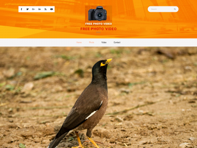 freephotovideo.com snapshot