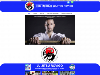 jujitsurovigo.it snapshot