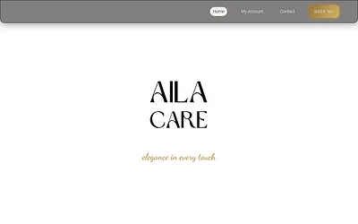 aila.care snapshot