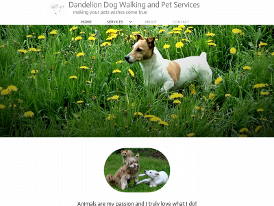 dandeliondogs.co.uk snapshot