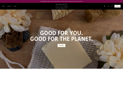 tozasoap.com snapshot