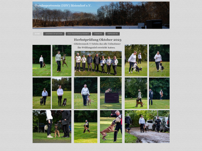 hsvmeiendorf.de snapshot