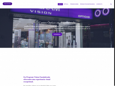 programvisionfuenlabrada.com snapshot