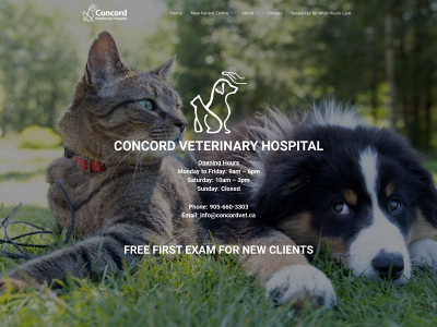 concordvet.ca snapshot