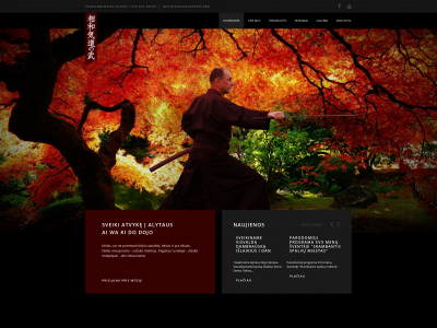 aikidocenter.org snapshot