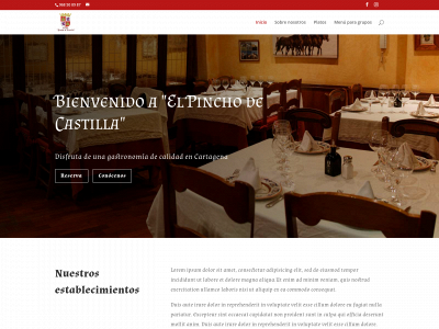 www.restauranteelpinchodecastilla.es snapshot
