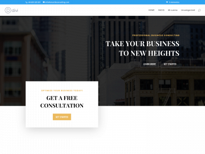 smartdsconsulting.com snapshot