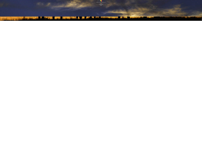 namibialivestockauctioneers.com snapshot