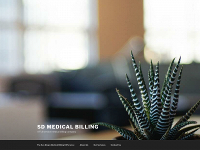 sdmedicalbill.com snapshot