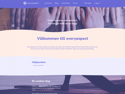 everyaspect.se snapshot
