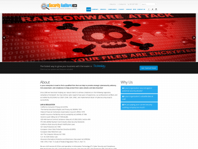 esecurityauditors.com snapshot
