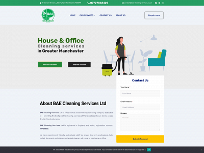 bae-cleaning-services.co.uk snapshot