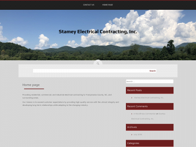 stameygroup.com snapshot