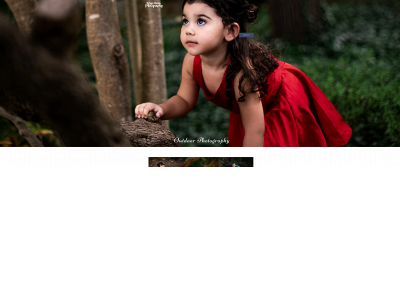 melanieboehmphotography.com snapshot