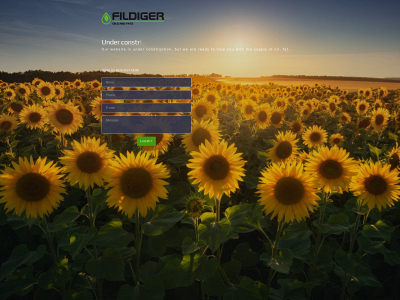 fildiger.com snapshot