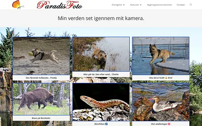 paradisfoto.land snapshot