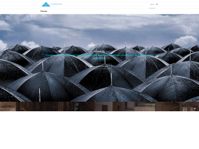 trinadyne.com snapshot
