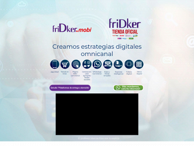 fridker.mobi snapshot