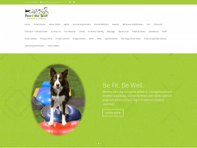 pawsitivespirit.com snapshot