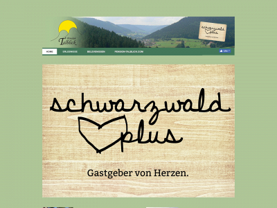 schwarzwaldplus.nl snapshot