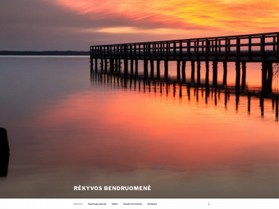 rekyvosbendruomene.lt snapshot