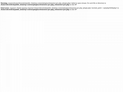topseo-agency.com snapshot