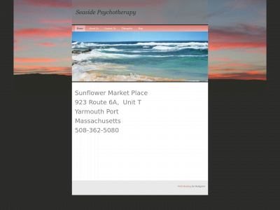 seasidepsychotherapy.com snapshot