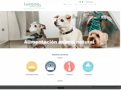 lucana.es snapshot