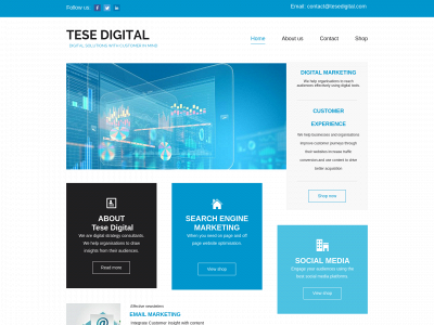 tesedigital.com snapshot